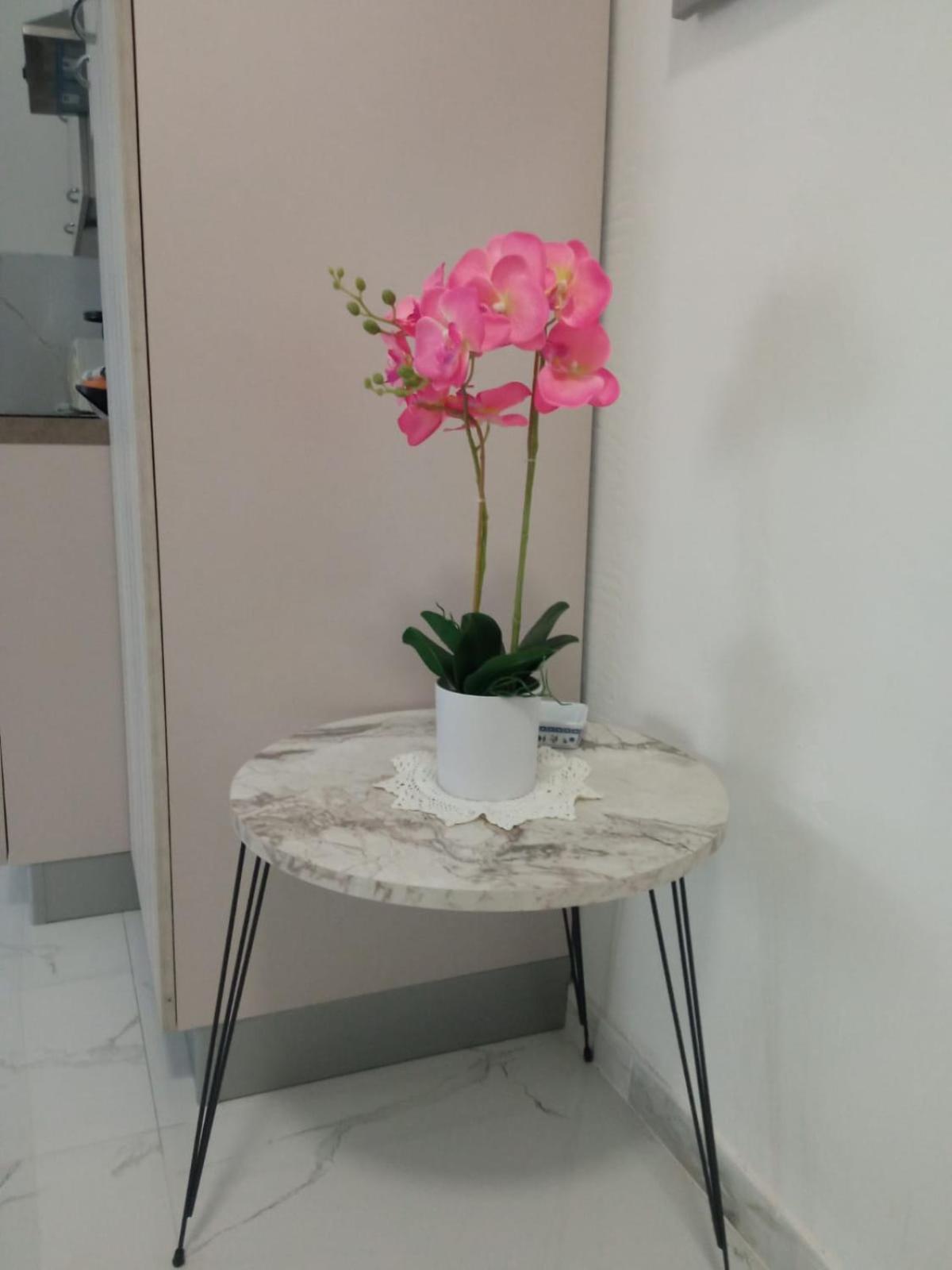 Wh - Dolce Vita - Bilocale - 5 Minuti Dal Centro - Parcheggio Gratuito - Wifi Sanremo Esterno foto